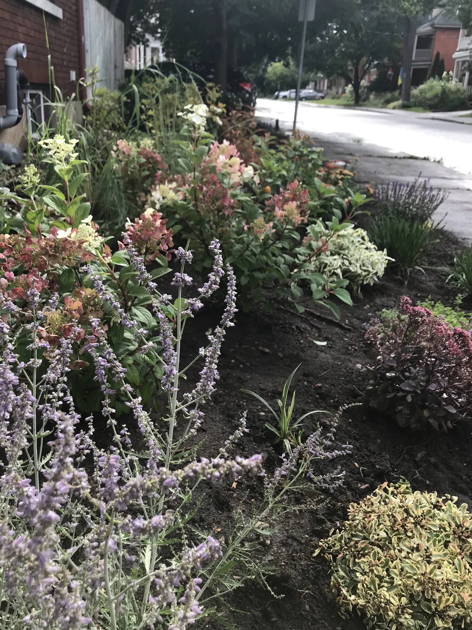 pollinator garden installation