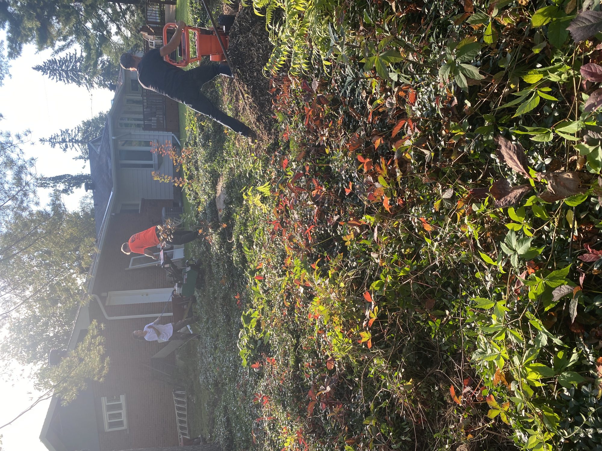 Cleared Nepean garden area with fresh soil ready for flagstone pathway and new plantings