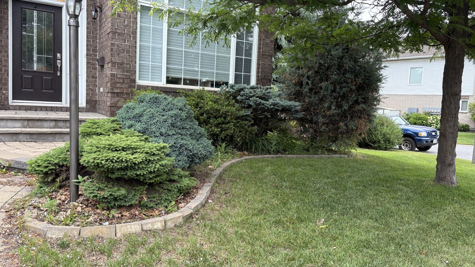 Overgrown lawn with tall grass growing past garden bed borders on Nepean property