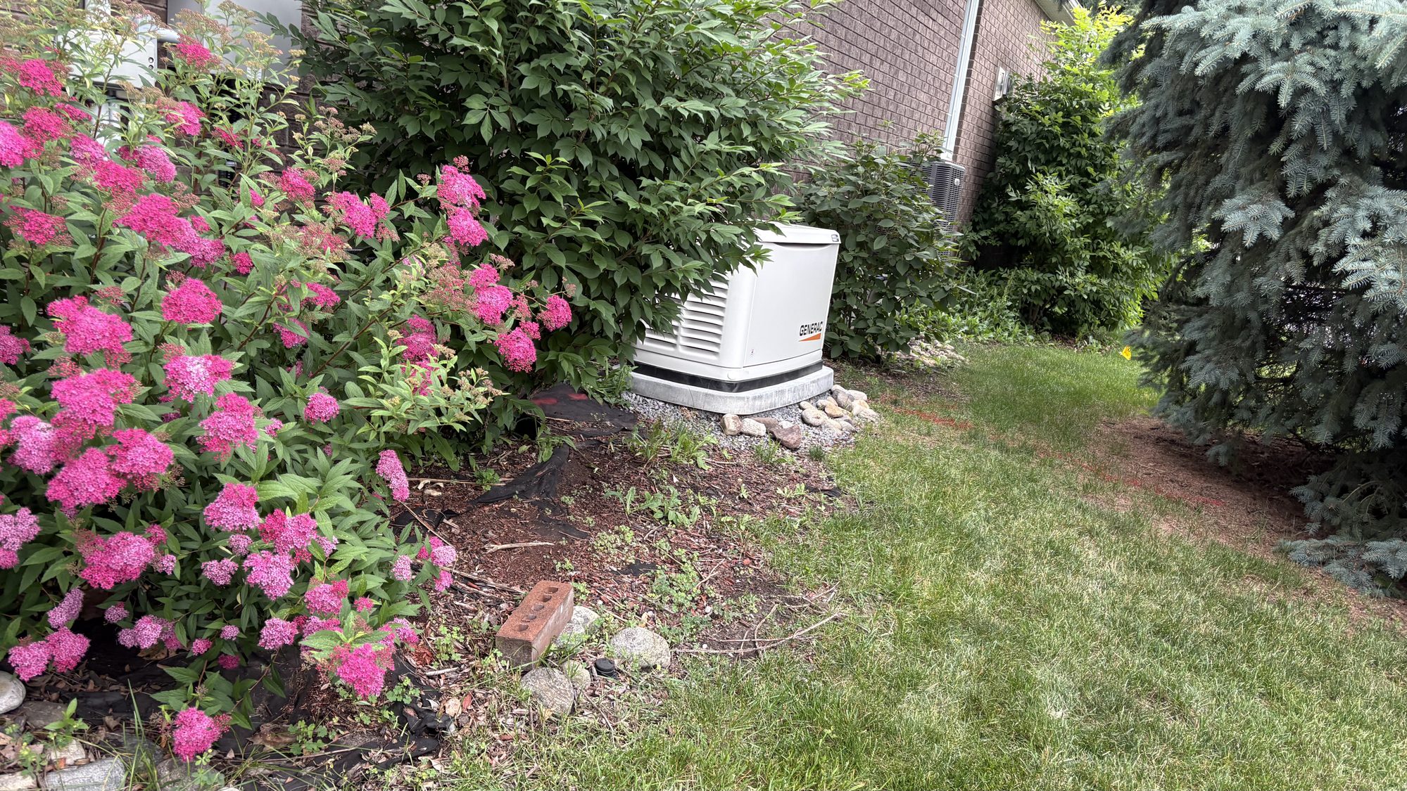 Side yard section of Nepean property with overgrown vegetation before spring cleanup