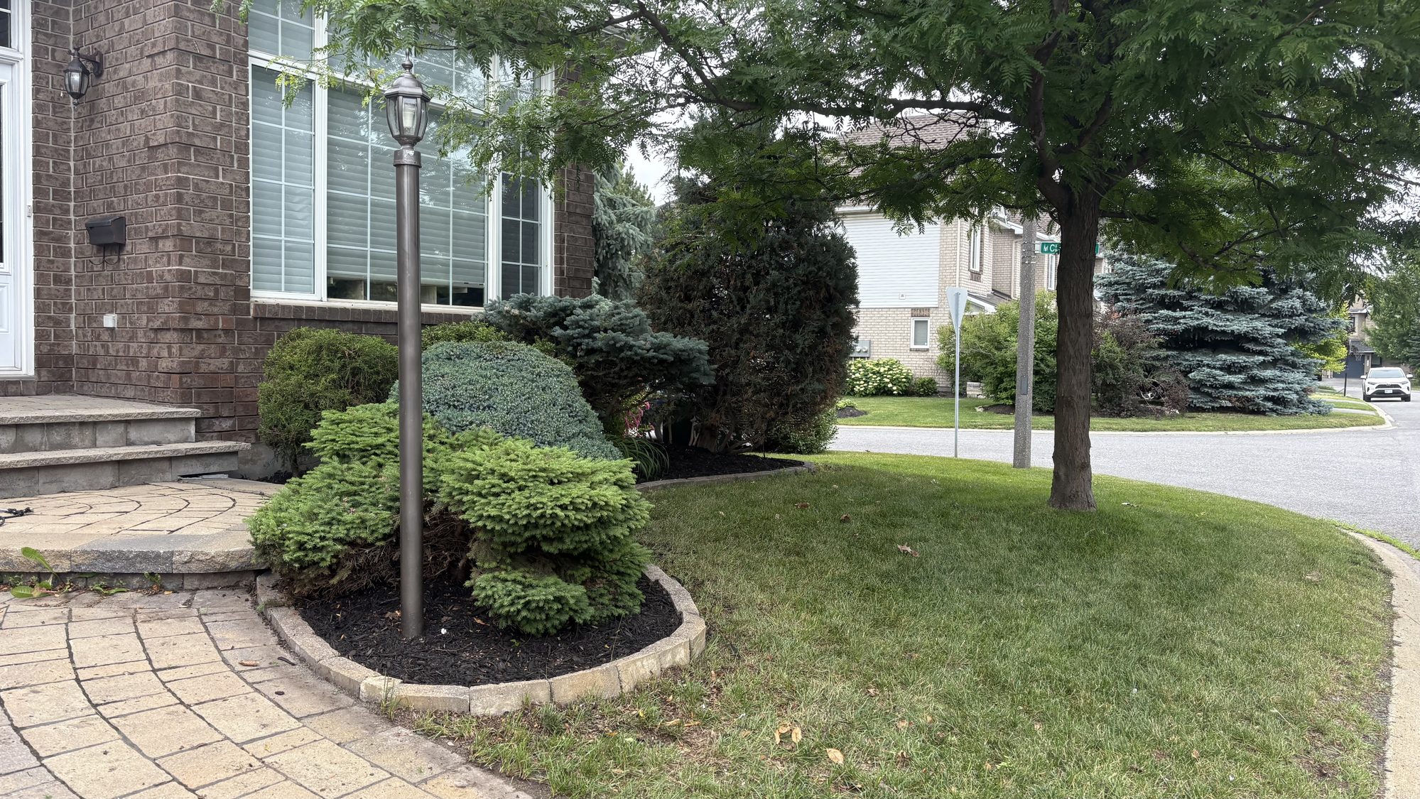 Greg's freshly mowed and edged lawn after cleanup