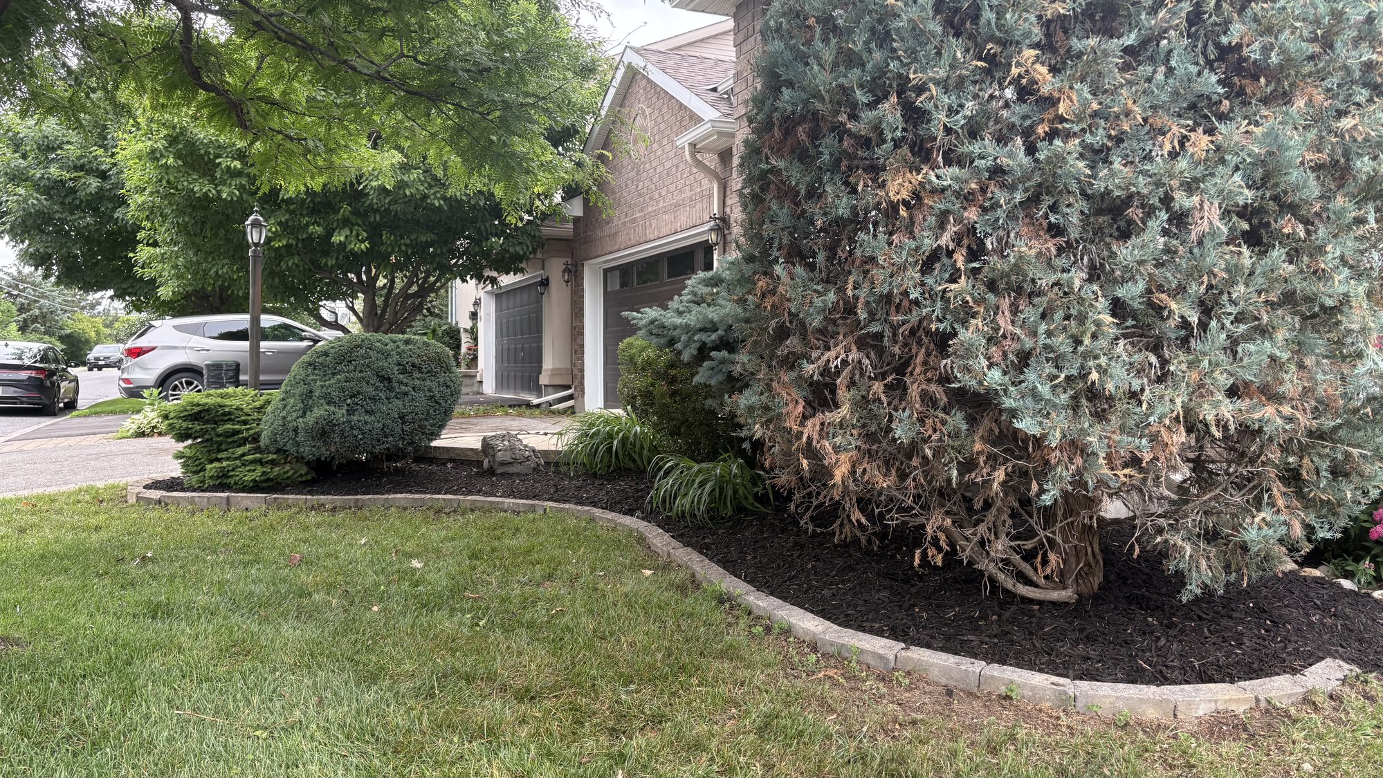 Restored garden bed edges with crisp borders after professional cleanup in Nepean