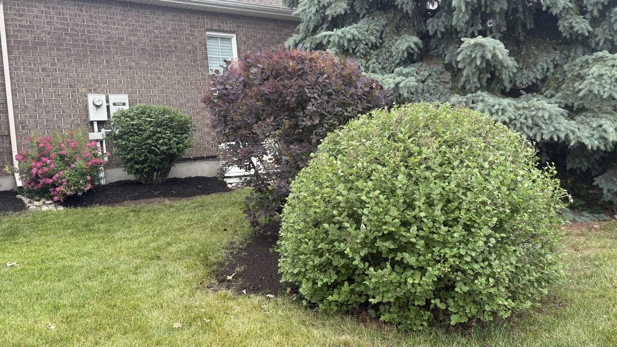 Side yard after spring cleanup showing neatly trimmed grass and clear walkways