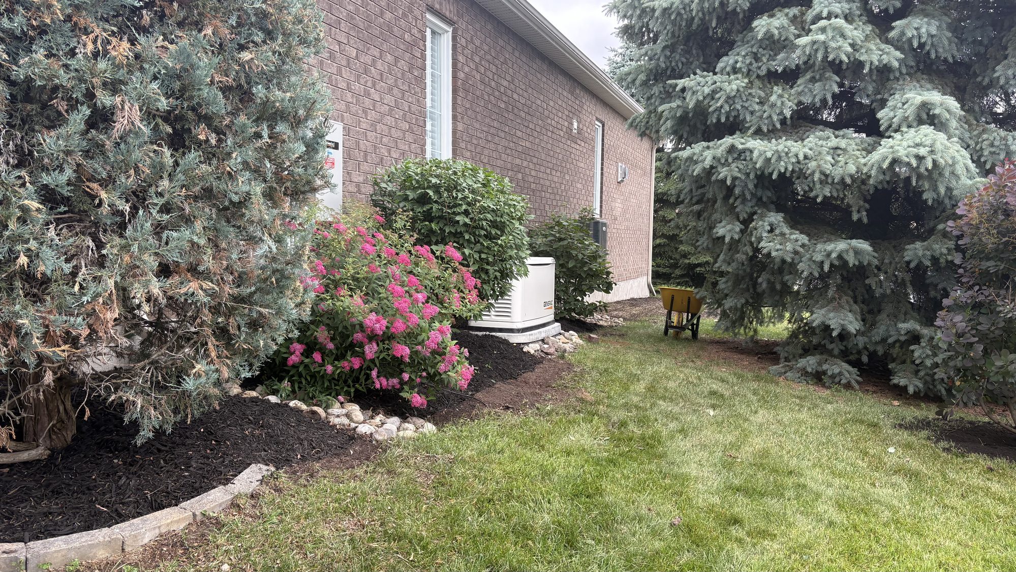 Backyard section after cleanup with maintained lawn and clean garden beds