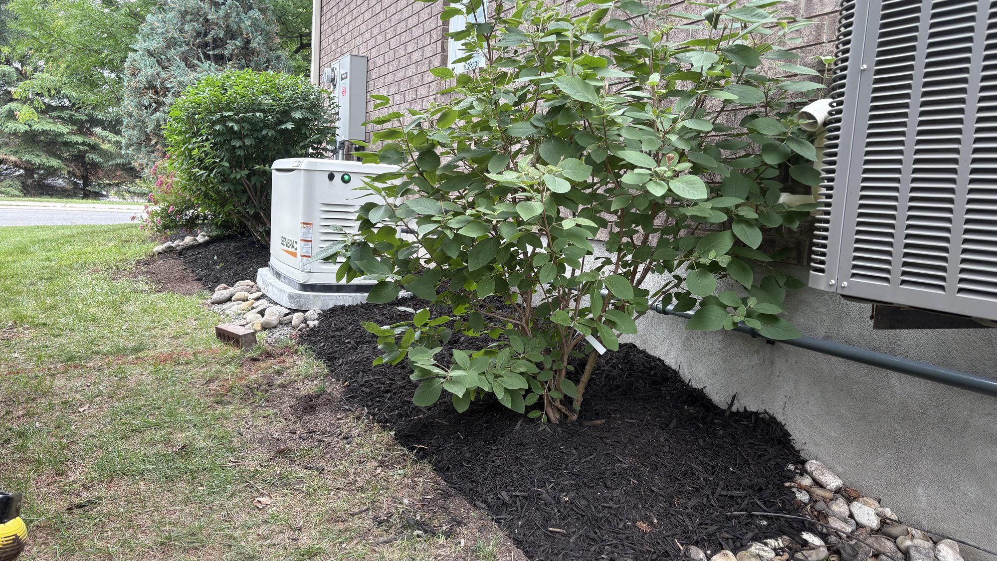 Wide angle of restored Nepean property showing consistent lawn height and clean beds