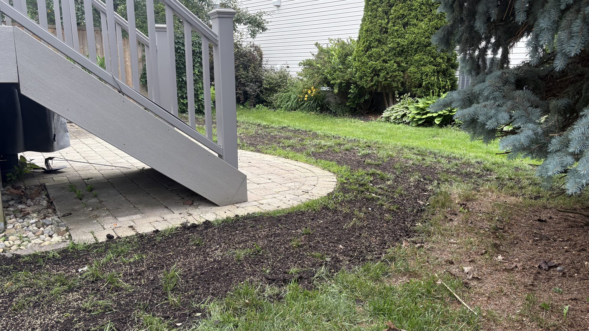 Clean walkway and maintained garden section after spring cleanup service in Nepean
