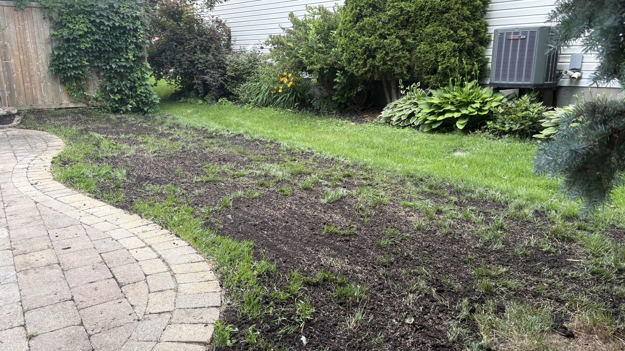 Restored rear yard showing clean lawn and accessible garden beds after professional cleanup
