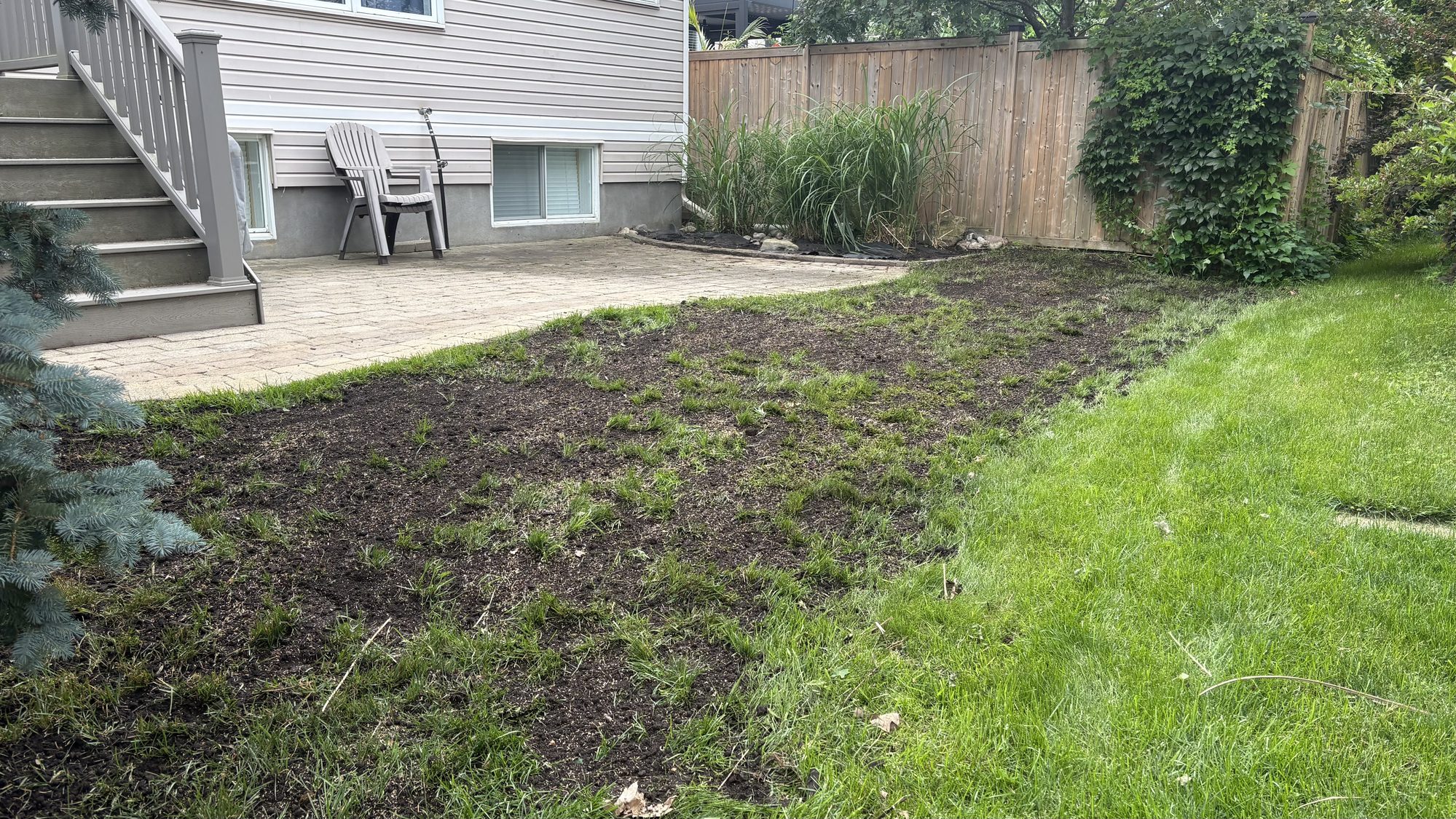 Final panoramic view of Greg's fully restored Nepean property after complete spring cleanup by CleanYards
