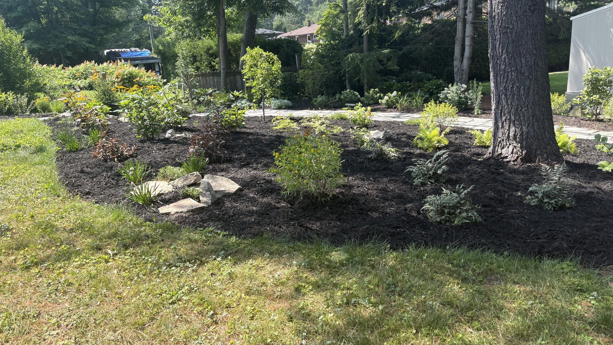 New perennial plants being installed alongside flagstone pathway in restored Nepean garden