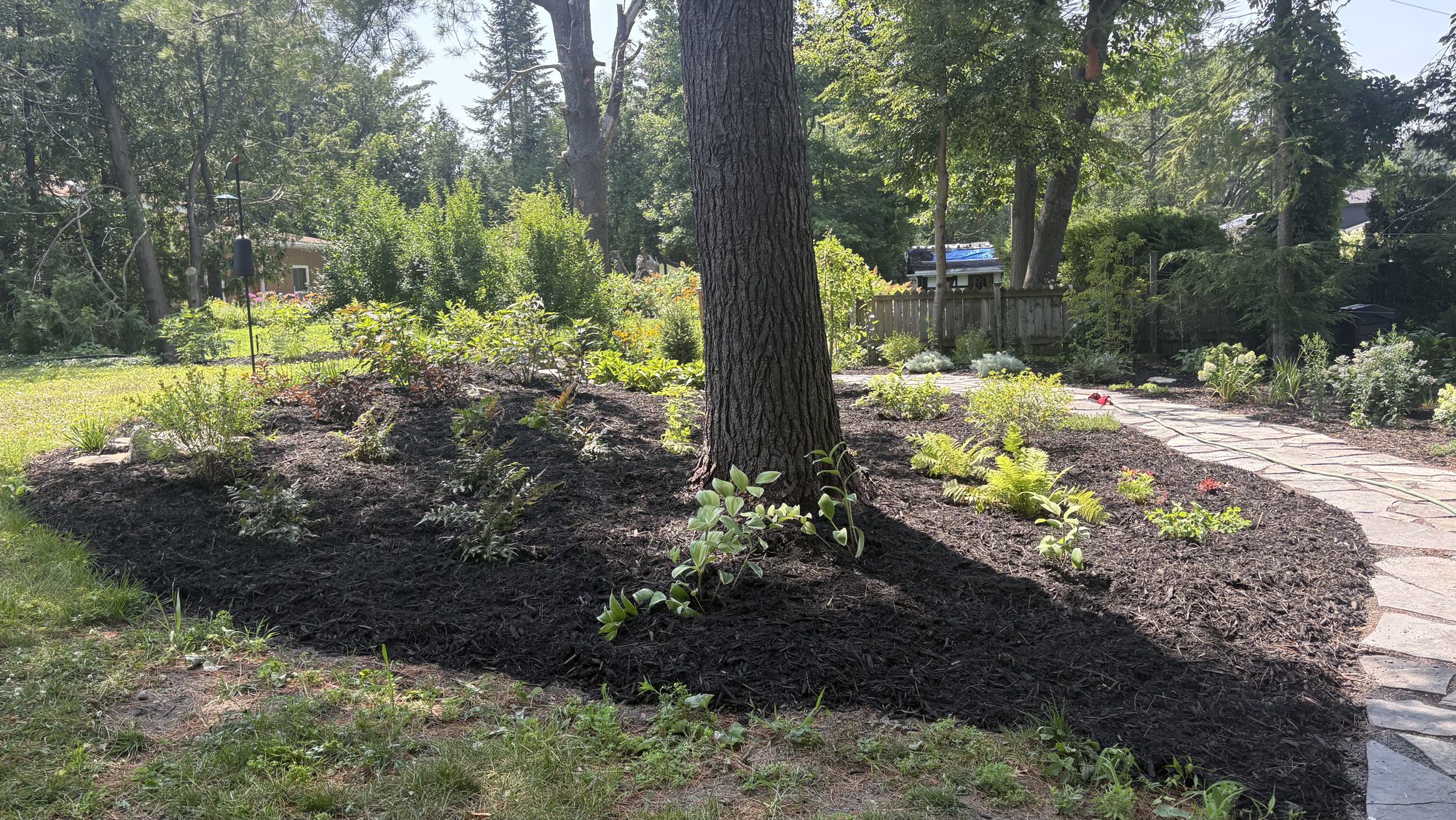 Garden beds filled with new plants complementing natural flagstone pathway