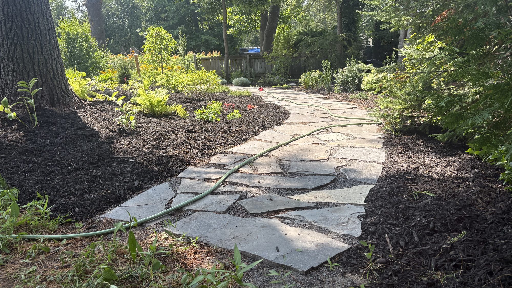 Close-up of new garden plantings thriving beside accessible flagstone pathway
