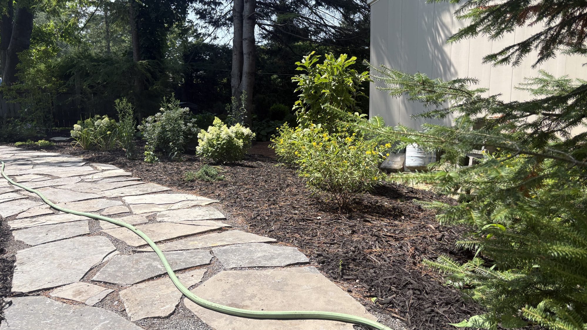 Garden pathway with established plantings on both sides providing safe accessible navigation