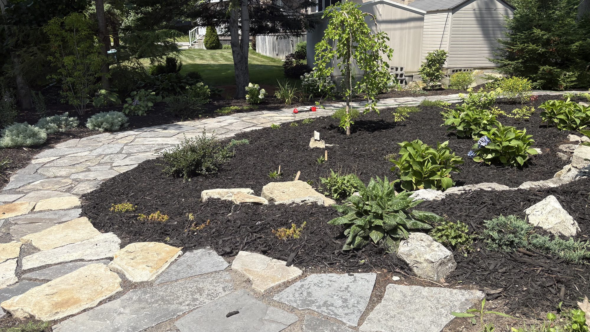 John's completed garden with flagstone pathway and lush new plantings