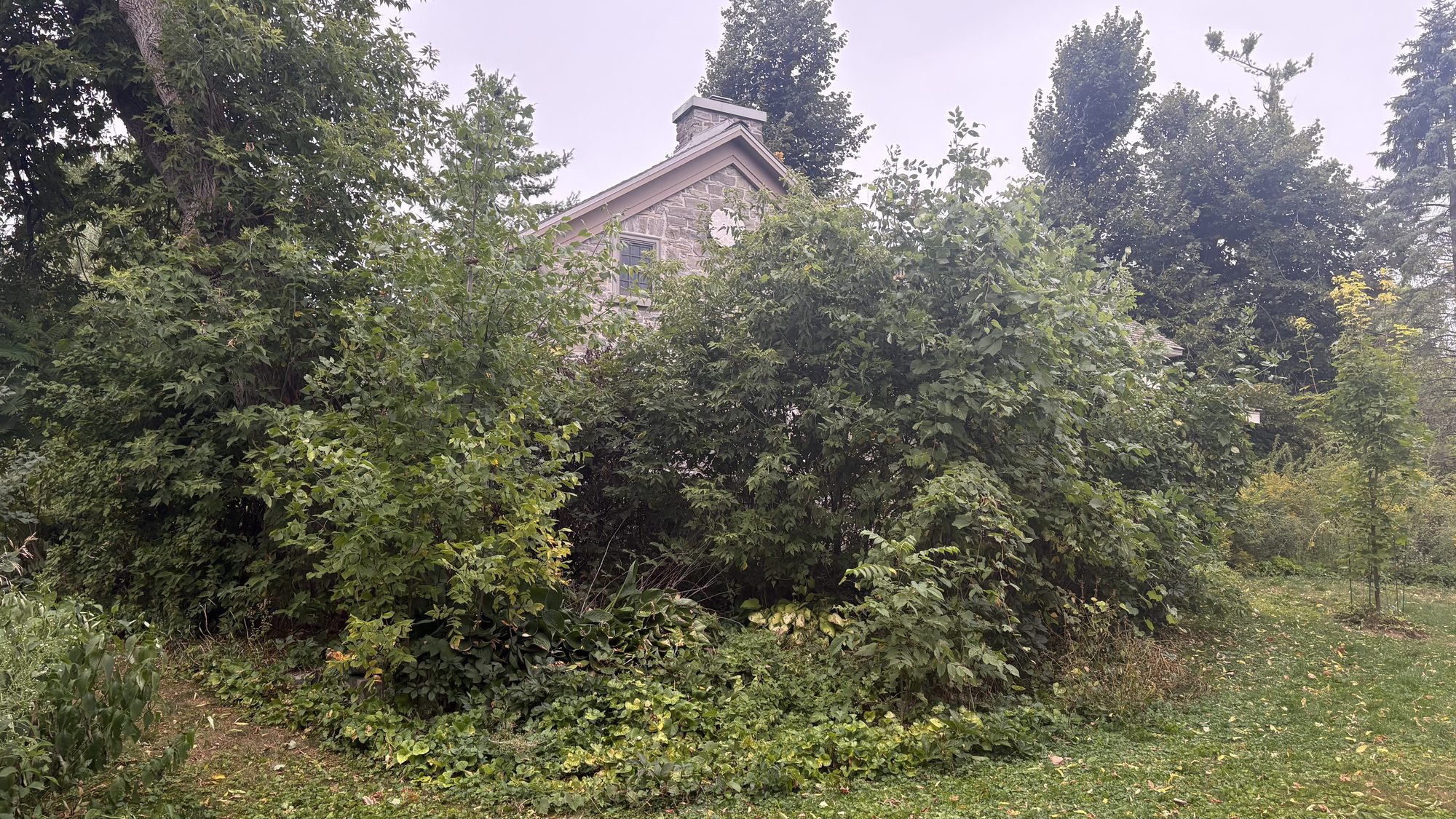 Final before-photo showing last neglected section of Winchester property awaiting restoration