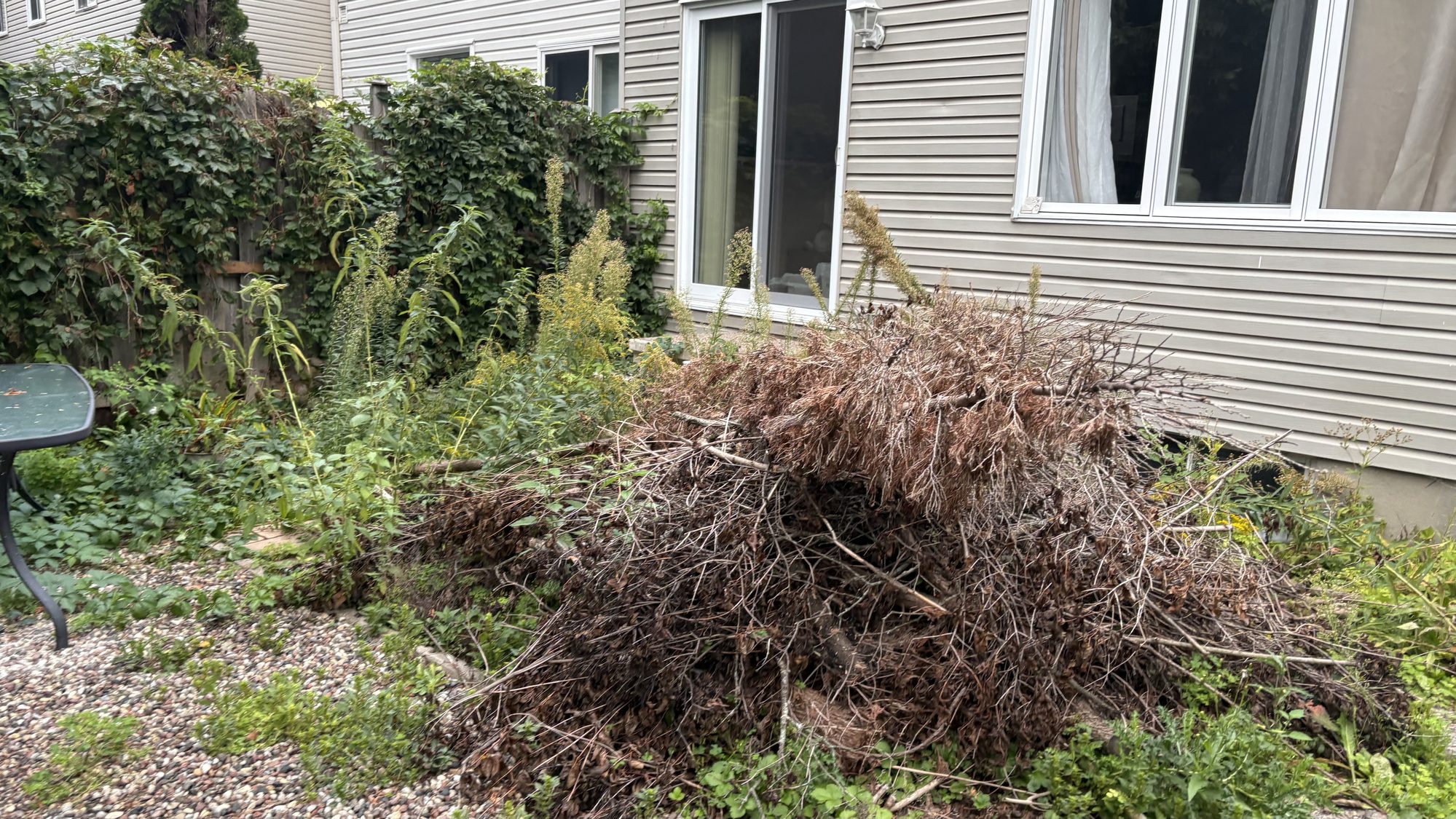 Close-up of neglected garden bed with weeds and bare patches on Barrhaven property before sale