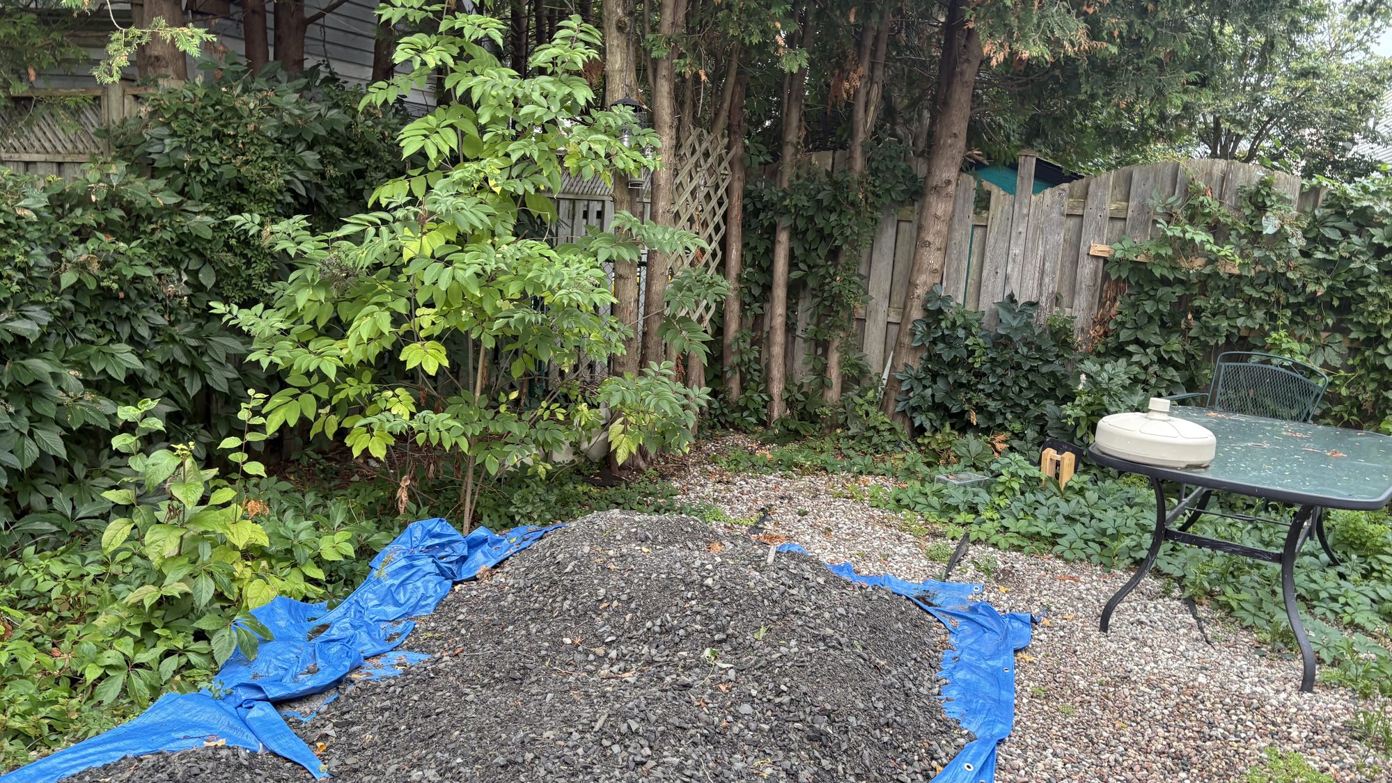 Wide view of Kevin's Barrhaven property showing patchy lawn and bare soil areas needing restoration before sale