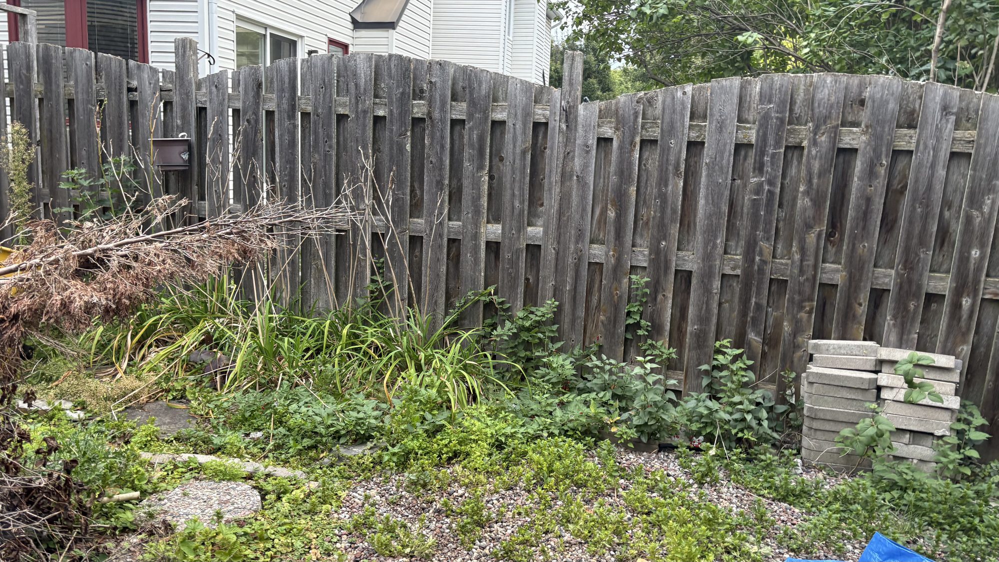 Another angle of the property before cleanup showing bare soil and sparse grass coverage
