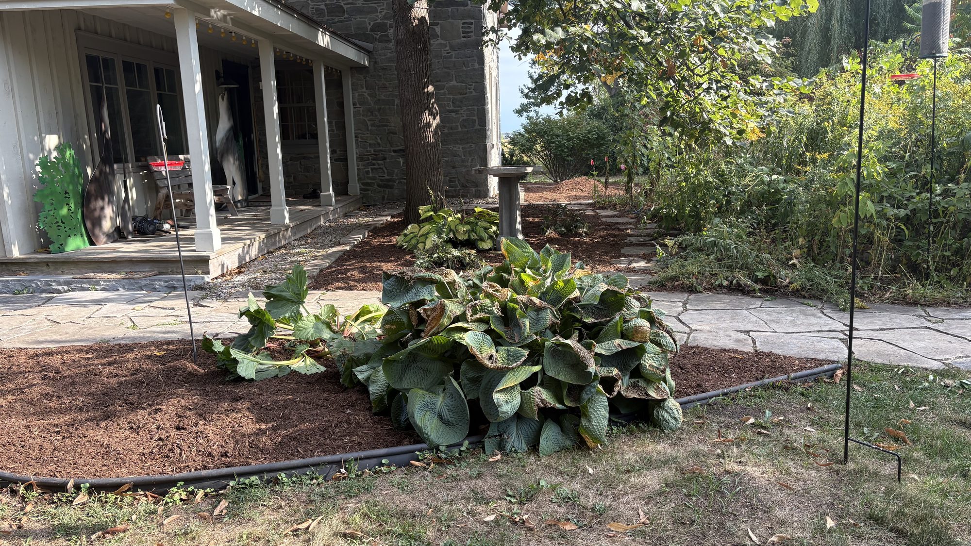 First section of Tom and Sandra's Winchester property after complete cleanup showing restored garden beds