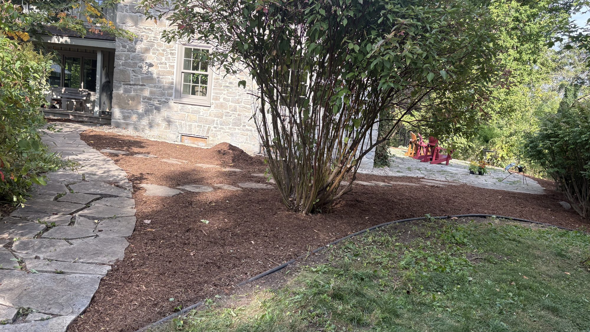 Restored side yard with clear walkway and trimmed vegetation after Winchester property overhaul
