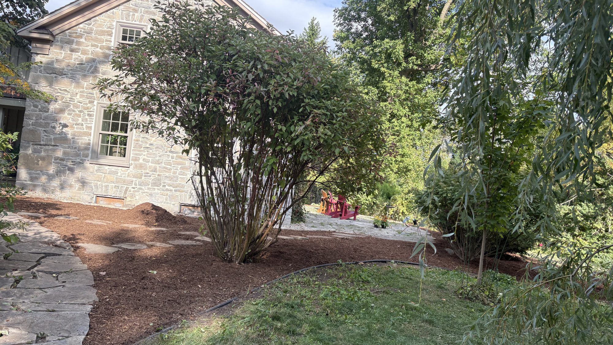 Full panoramic view of Tom and Sandra's transformed Winchester property after complete landscaping overhaul