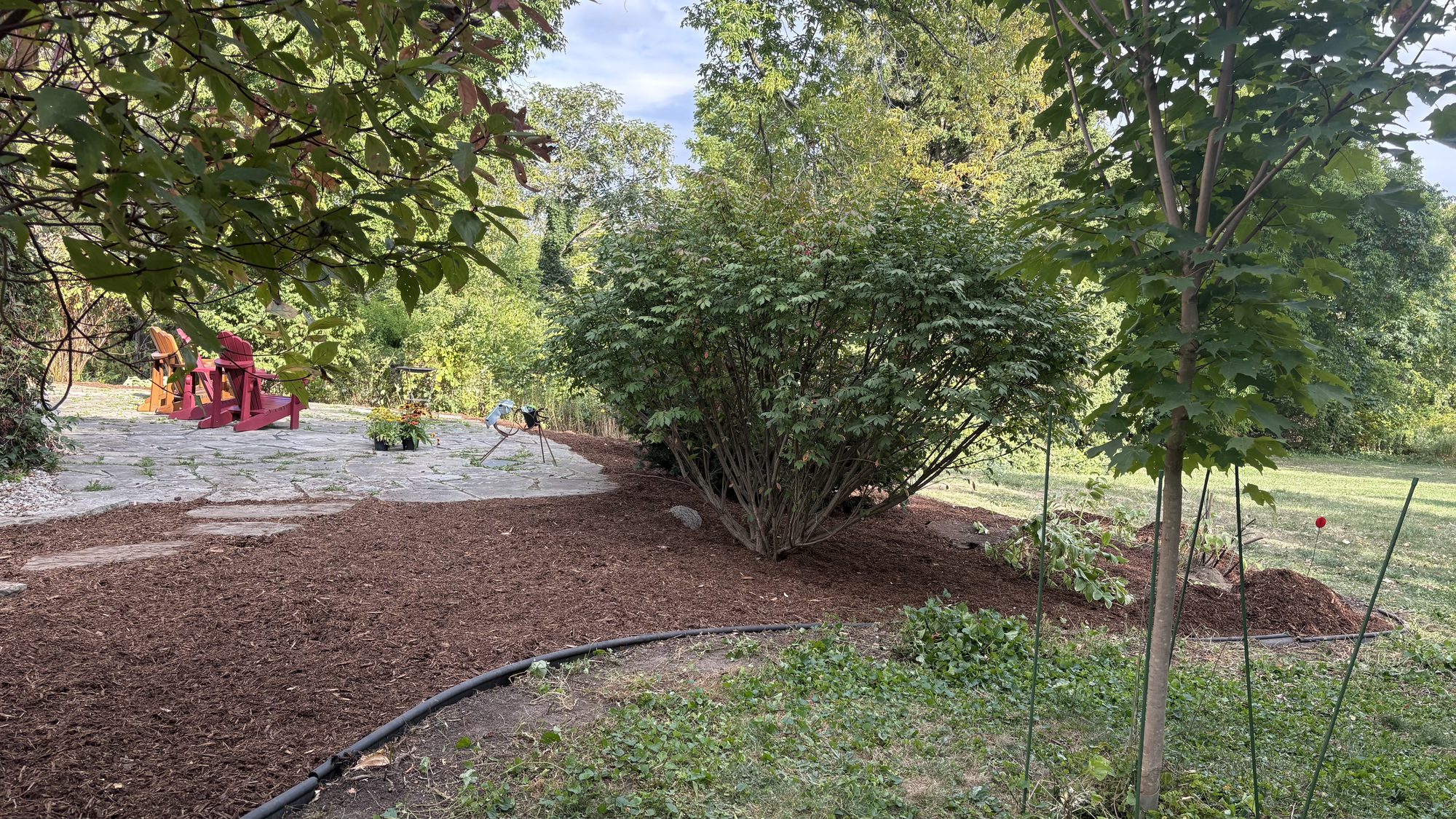 Detailed view of restored garden bed with crisp edges and clean soil after professional cleanup