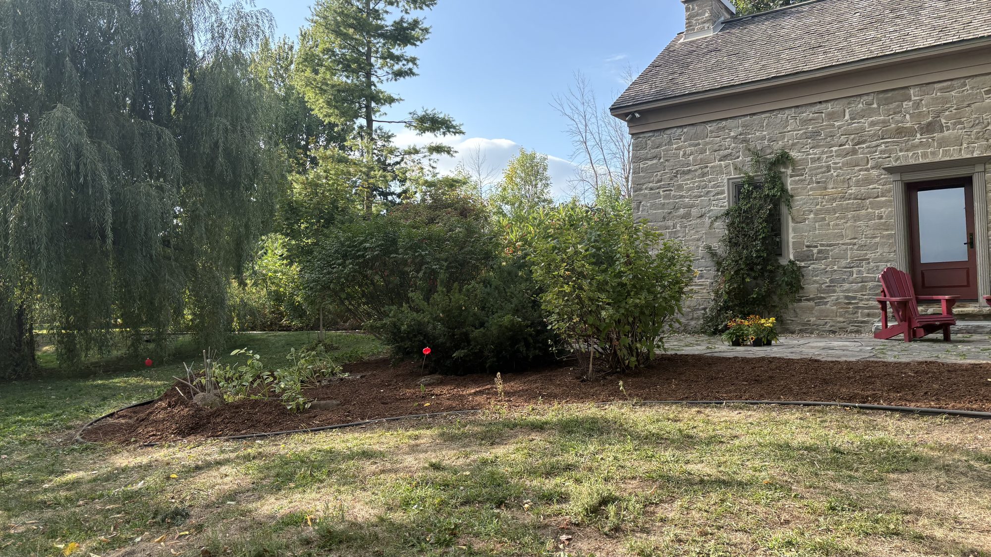 Rear garden area after full restoration with clean beds and accessible paths in Winchester