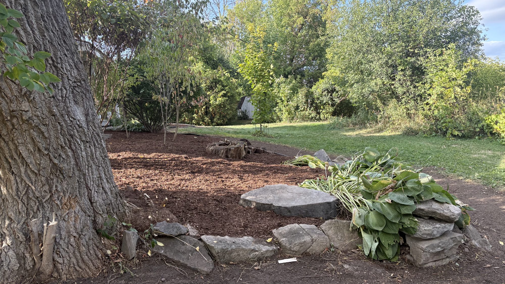 Clean garden bed edges and freshly cleared vegetation showing Winchester property transformation