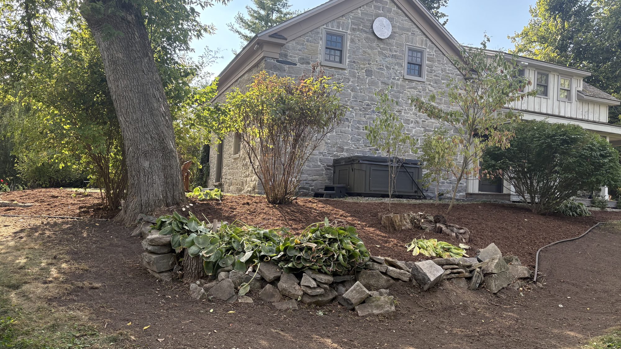 Restored landscape section with professional edging and shaped hedges in Winchester