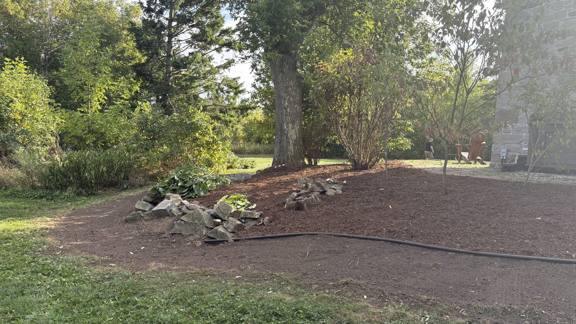 Revived Winchester property section with clean walkways and professionally maintained garden beds