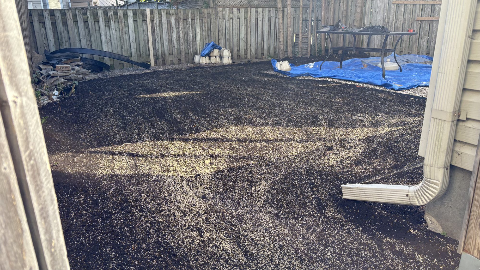 Kevin's Barrhaven property after cleanup and seeding showing clean garden beds and freshly seeded lawn