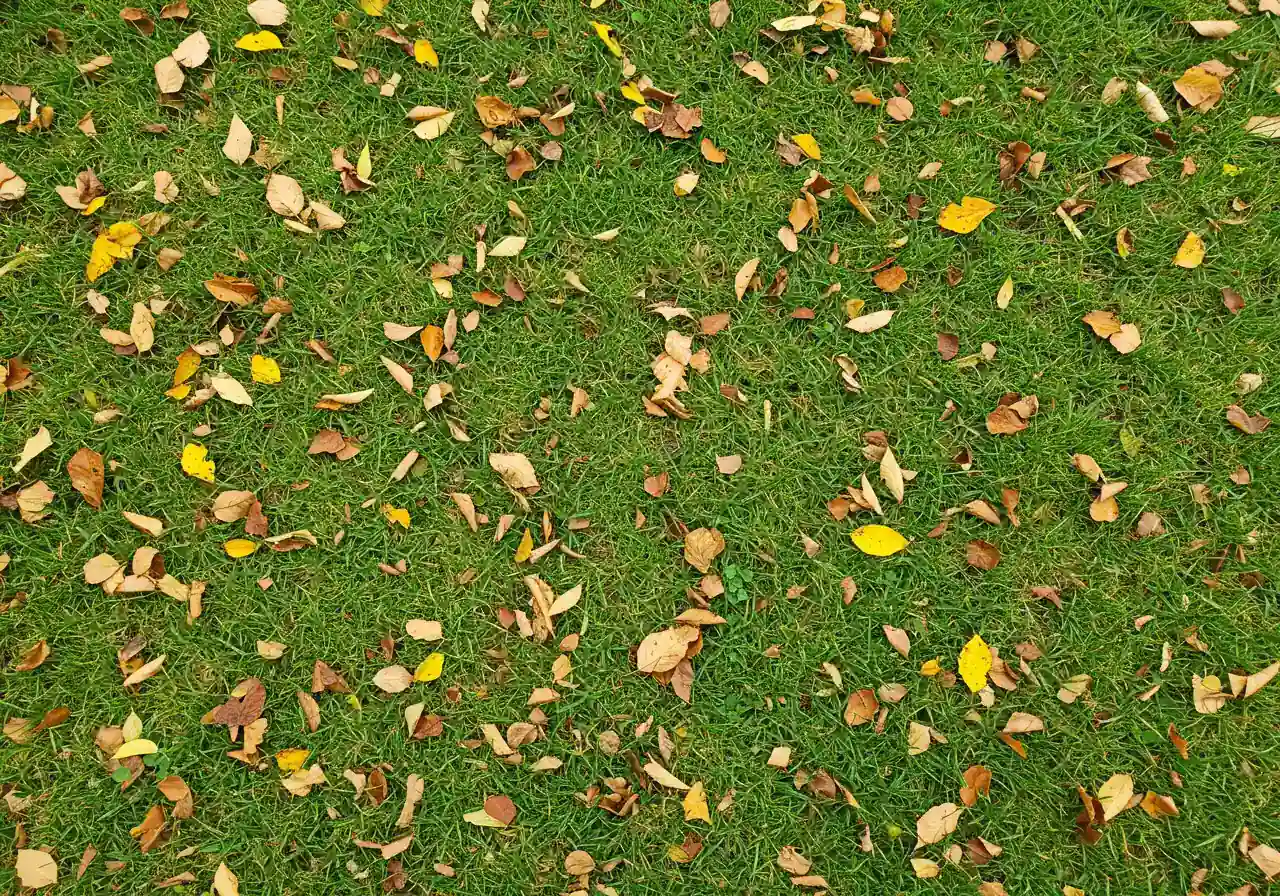An image illustrating leaf mulching in action, showing a section of lawn partially covered with finely shredded autumn leaves mixed in with the grass blades after being run over by a mulching mower.
