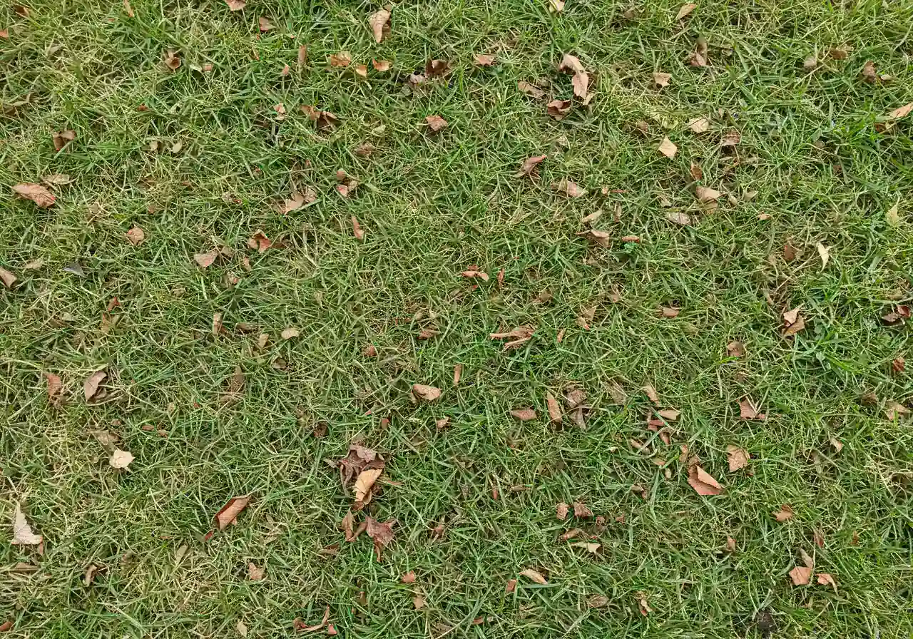 Overhead close-up view of a lawn where fall leaves have been finely shredded by a mulching mower. Small leaf fragments are visible mixed in with the green and brown grass blades, demonstrating the result of mulching mowing.