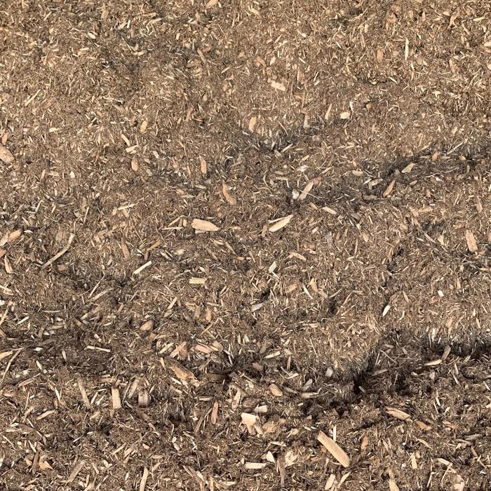 Natural Cedar/Pine Mulch