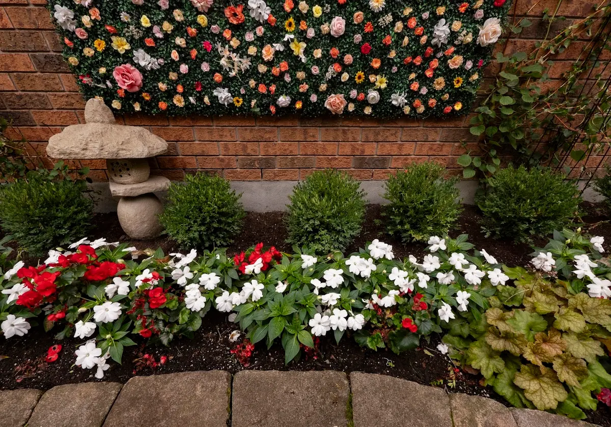 Colourful annuals planted alongside manicured boxwood hedging