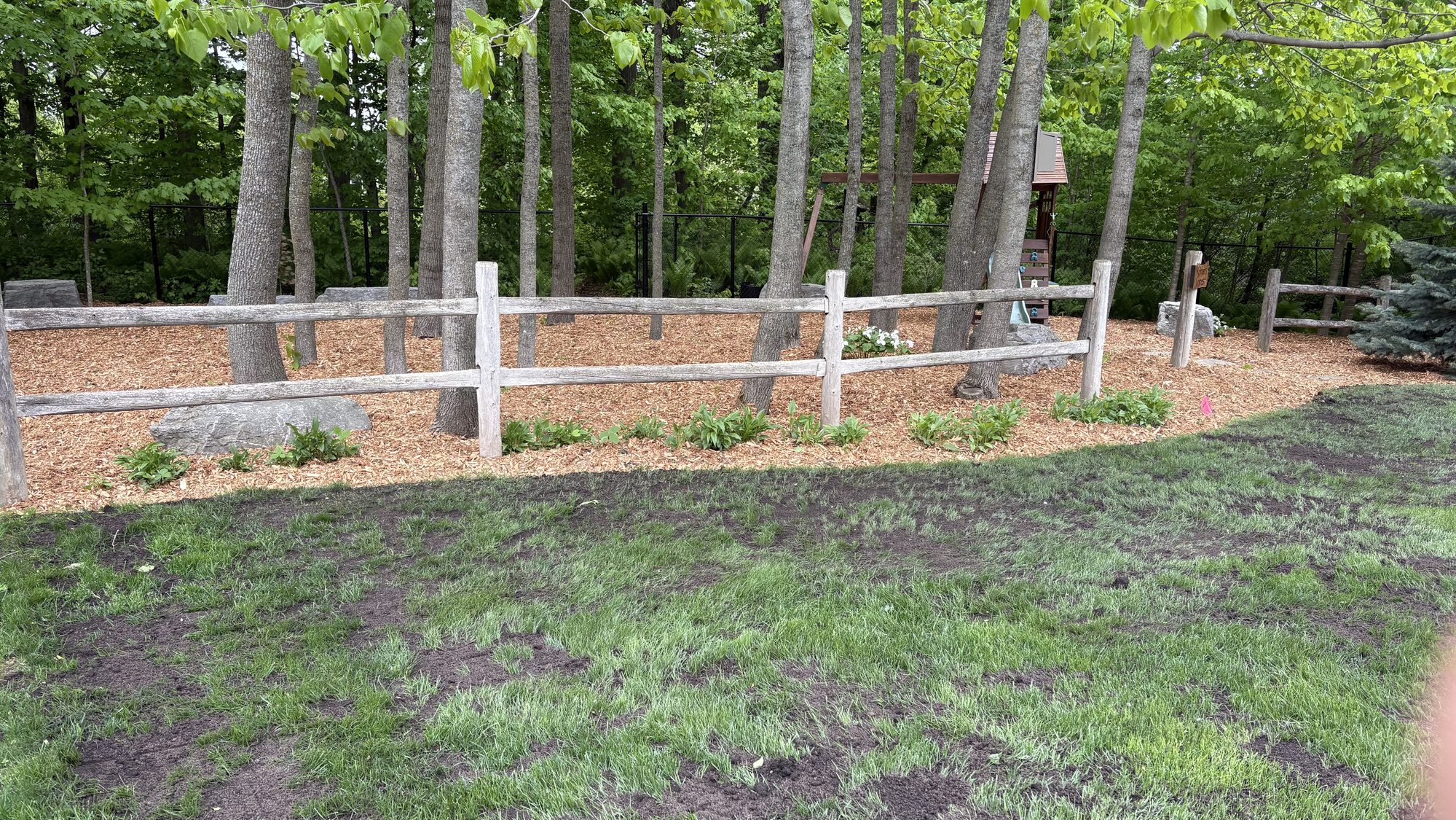 Professionally mulched garden beds with crisp defined edges